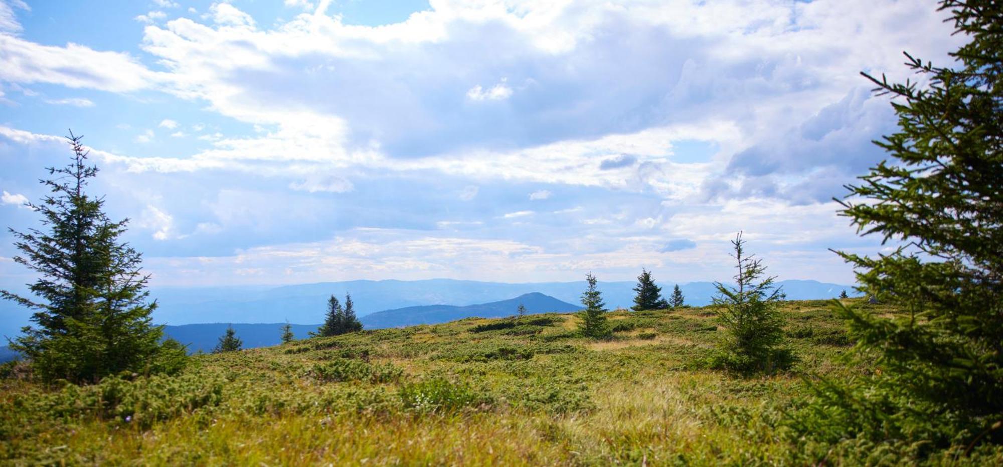 Viceroy Kopaonik Serbia ภายนอก รูปภาพ View from the summit of Mount Rogers